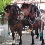 Plzeň-Bolevec Plzeň-Bolevec